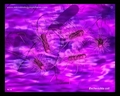 E.coli 3D